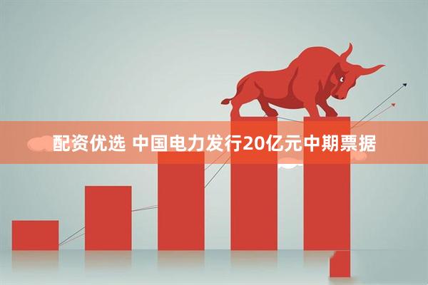 配资优选 中国电力发行20亿元中期票据